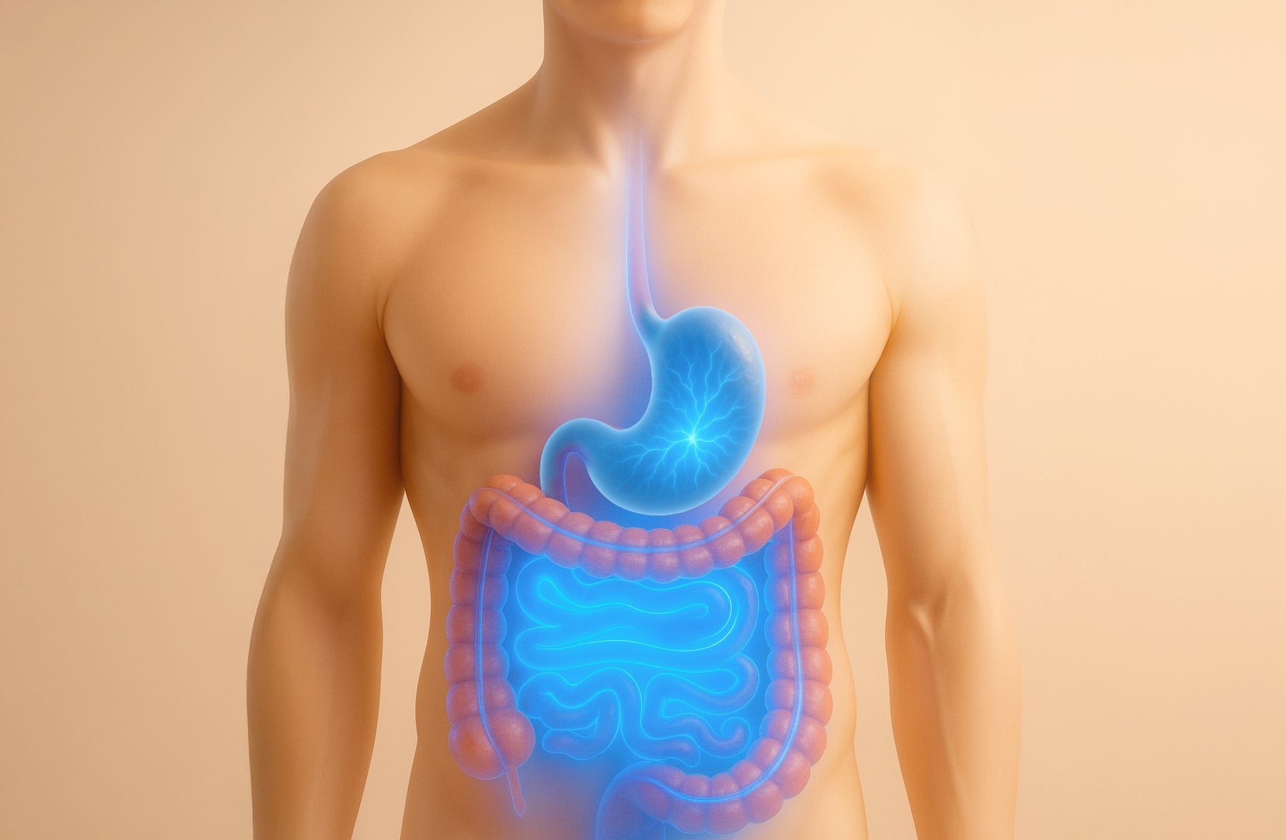 Stomach Disorders